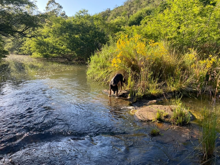 0 Bedroom Property for Sale in Stutterheim Rural Eastern Cape